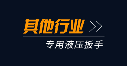 其他行業專用液壓扳手